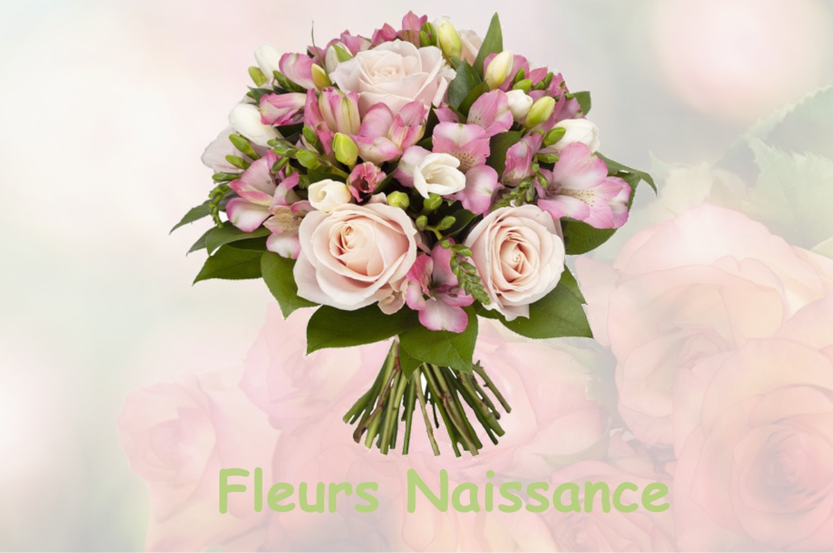 fleurs naissance ANCY-LE-FRANC